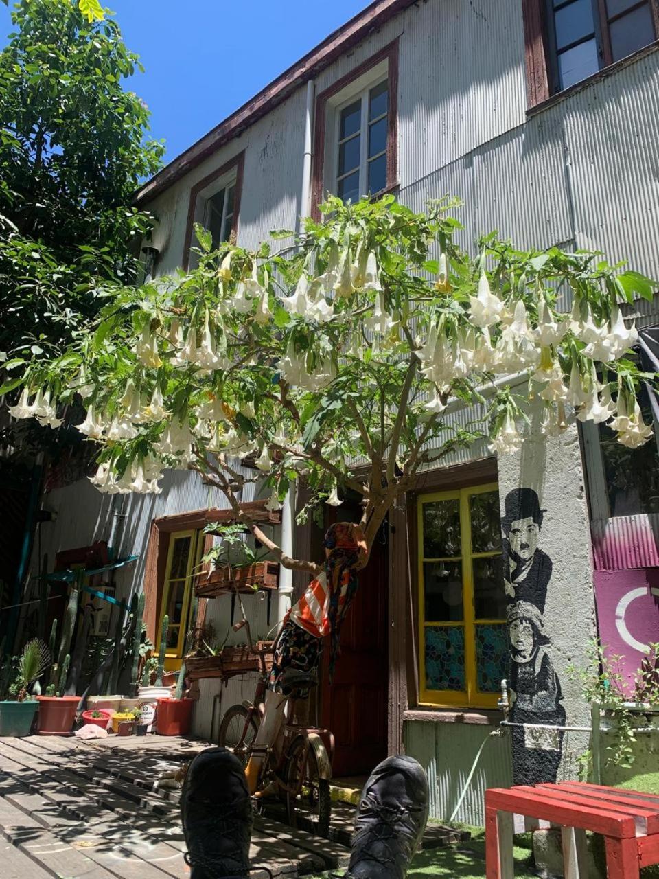 Art Hostel Casa Chaman Valparaíso Exterior foto